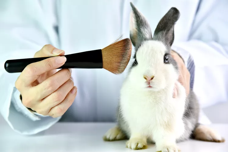 Alternatives to Animal Testing in Cosmetics